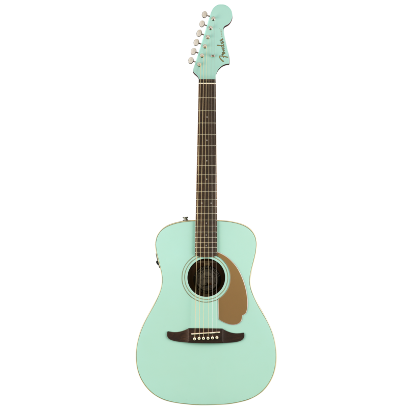 Fender Malibu Player AS_1