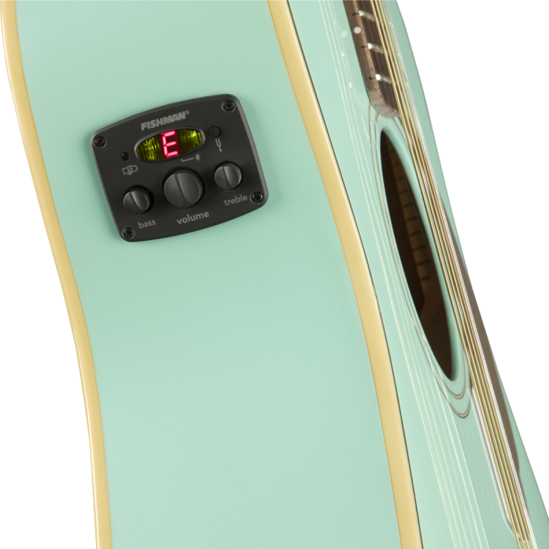 Fender Malibu Player AS_3