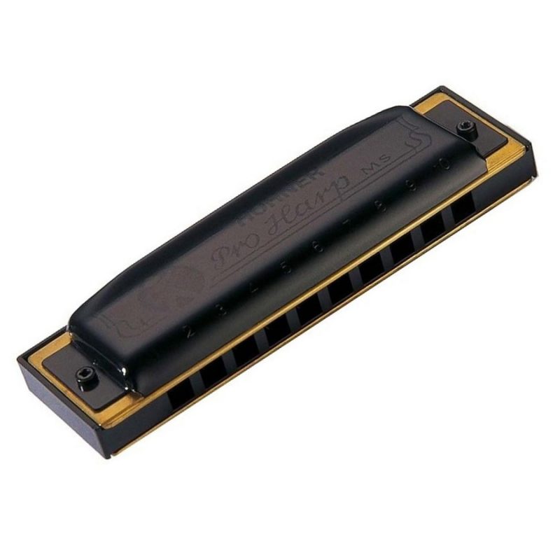 Hohner Pro Harp