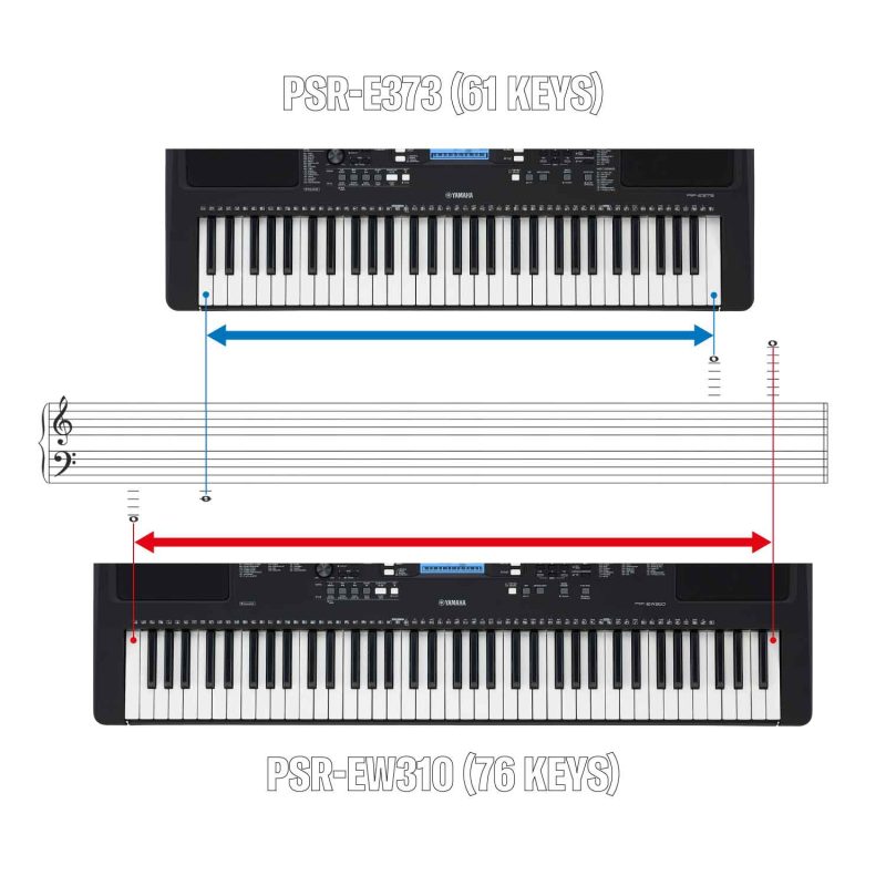 PSR-EW310-11-different